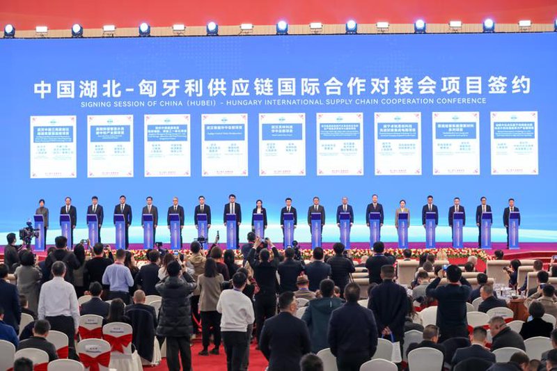 与德正商贸同行：洞察行业趋势的窗口